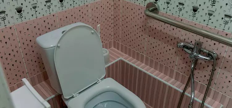 Meeting Diverse Needs With Accessible Restroom Solutions in East Chicago, IN