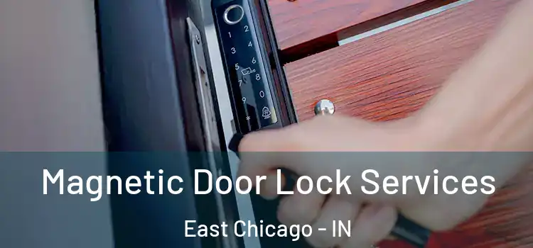 Magnetic Door Lock Services East Chicago - IN